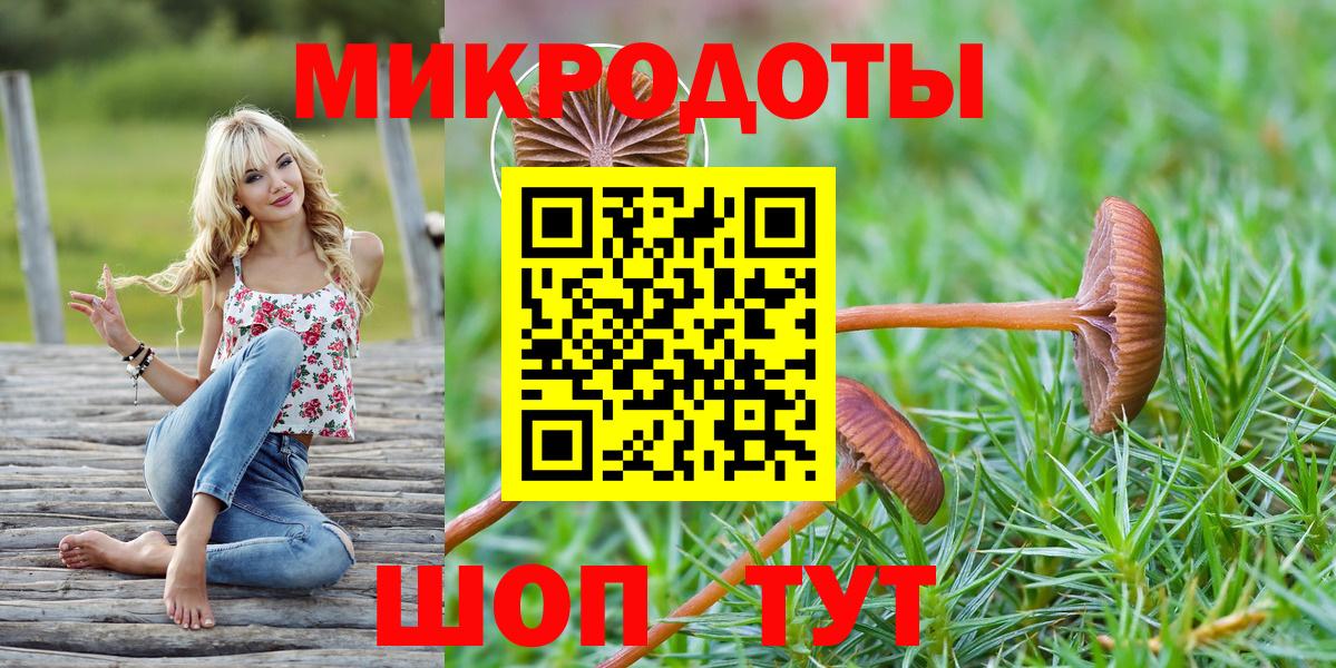 Псилоцибиновые грибы прущие грибы Сертолово
